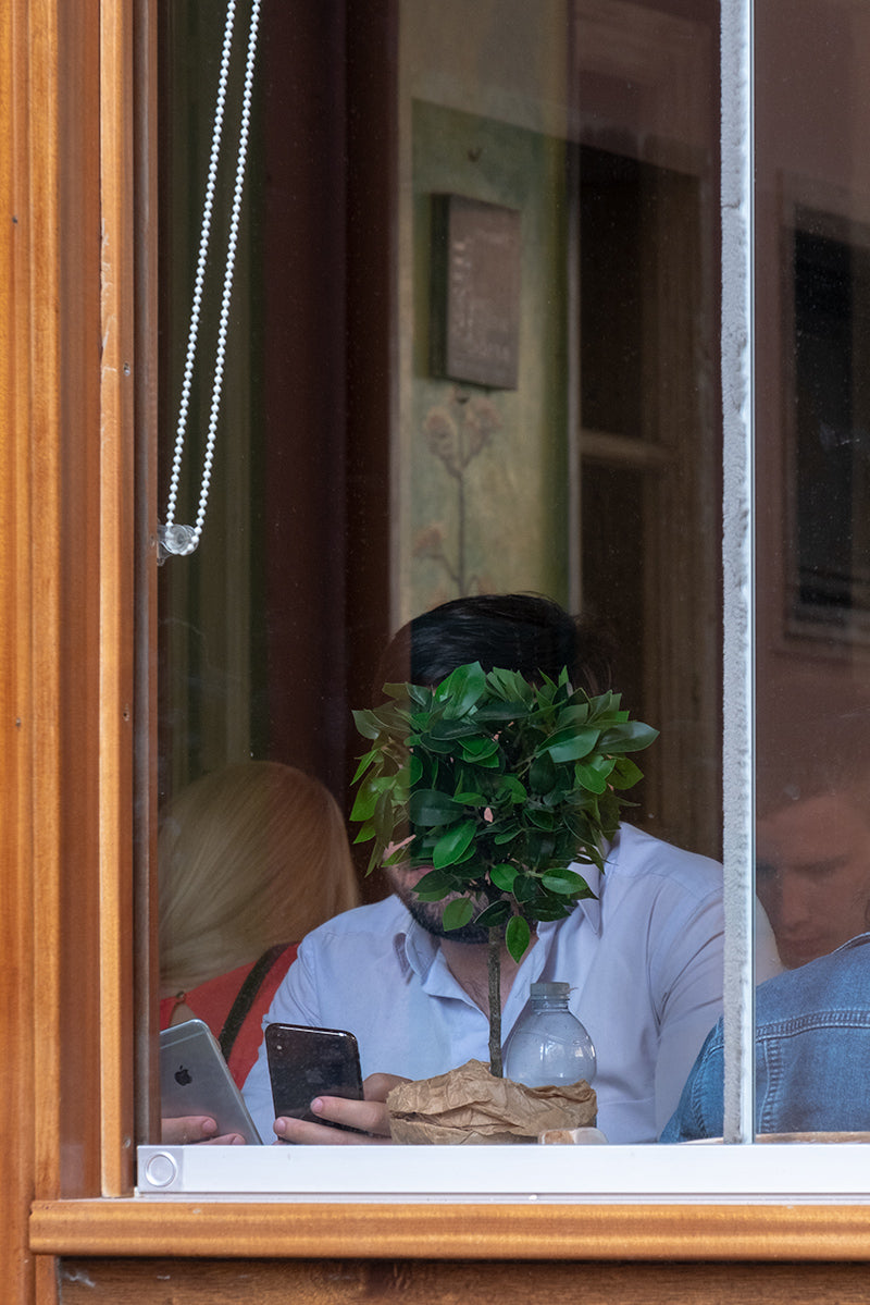 The juxtaposition of a man behind a pot plant, focused on his mobile phones while he's sat by the window, missing the view of Manorola, Italy.