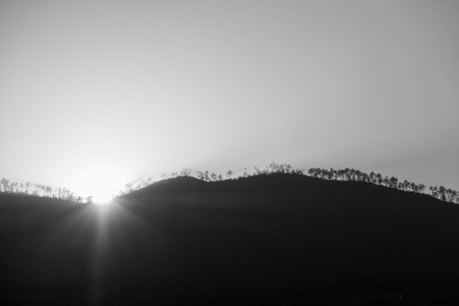 A monochrome image of a sunset behind the hills above Monterosso highlighting the treeline at its summit.