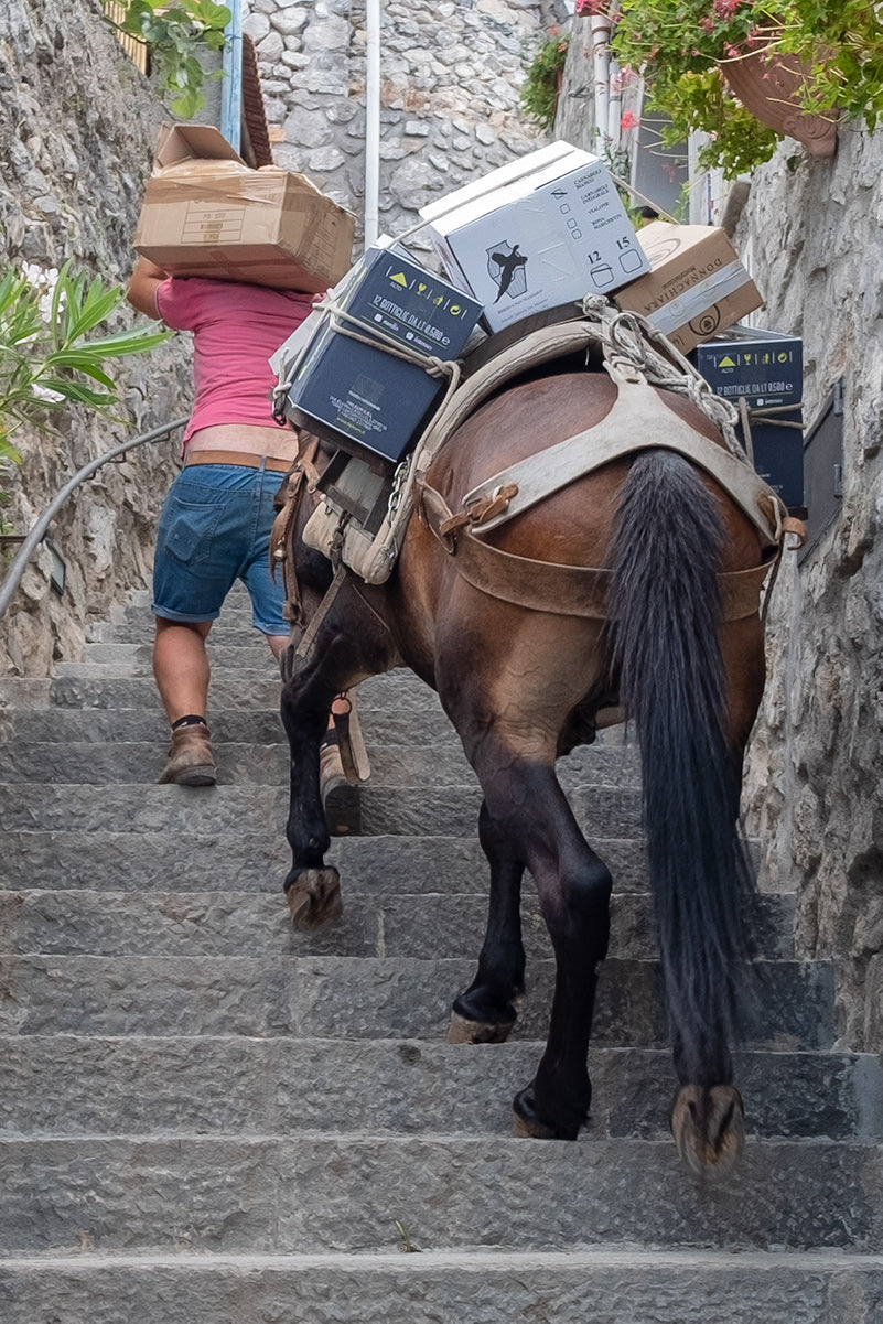 Wine delivery by horse on the 'Path of the Gods' a 6.5km clifftop trail along the Amalfi Coast⁠  