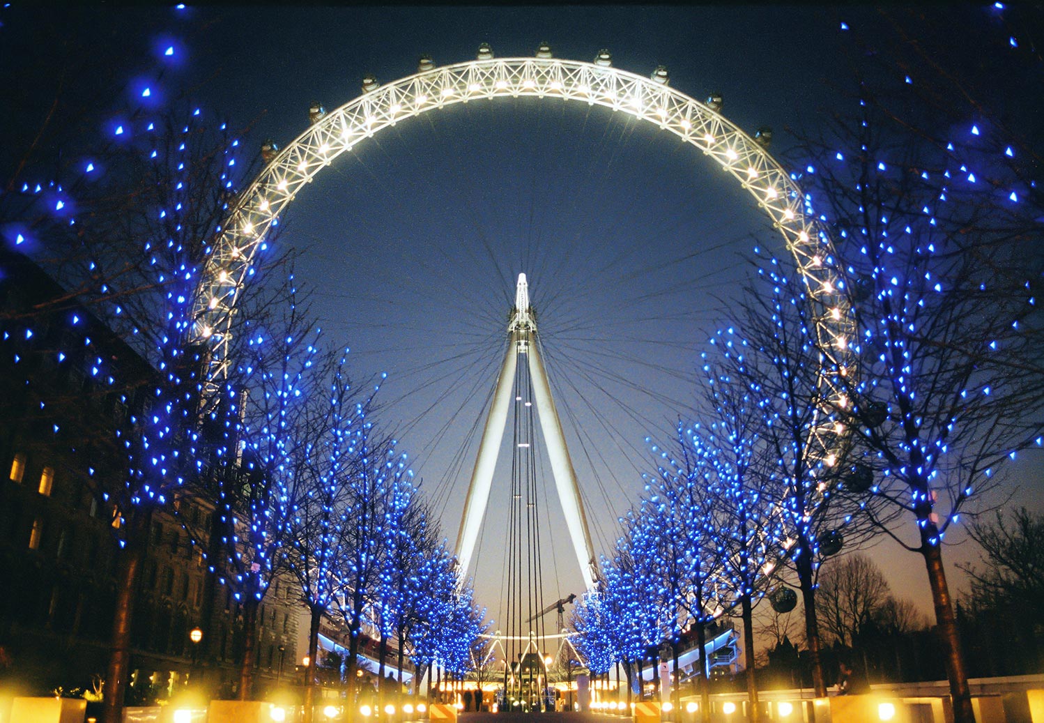 The illuminated London Eye at night, taken the year after it opened from a low viewpoint beyond the Blue lit trees in Jubilee Gardens