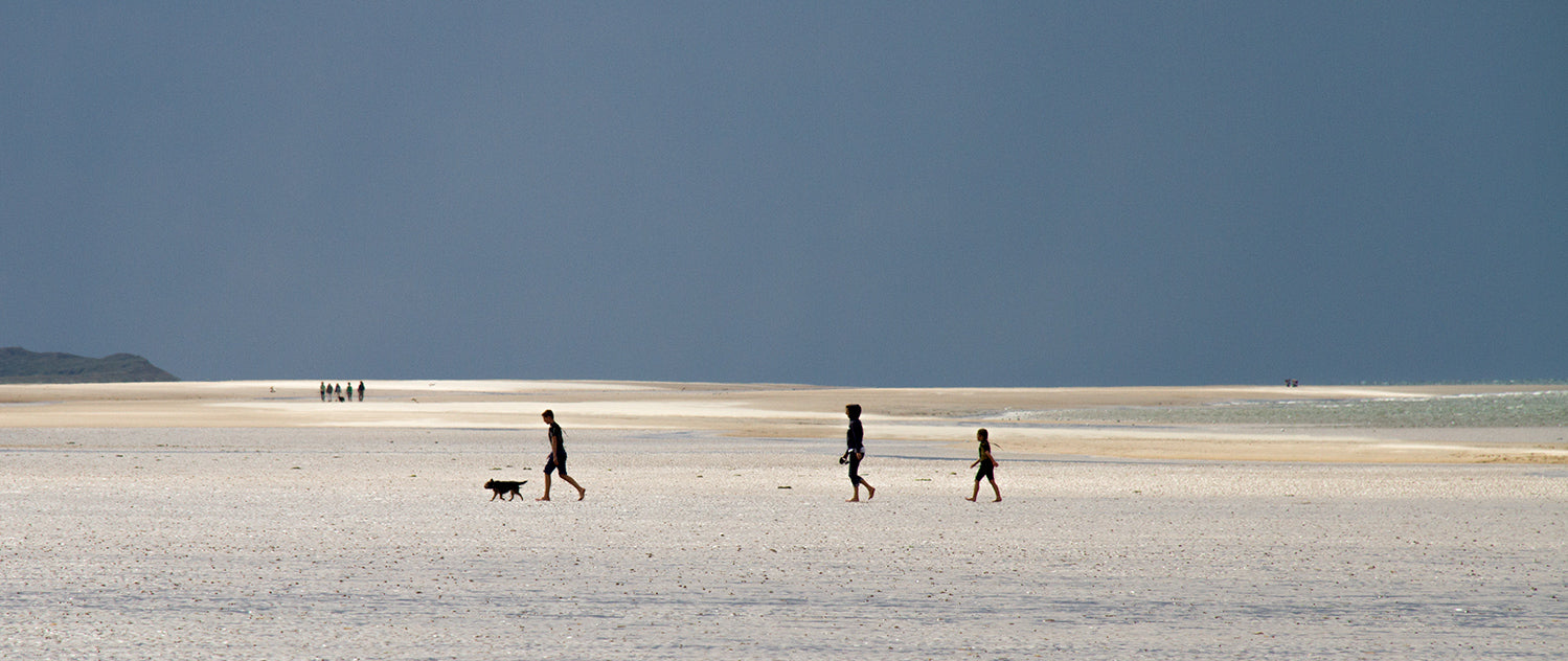 A family and their dog enjoying the vast, unspoilt and almost empty Holkham beach on an August day in Norfolk.