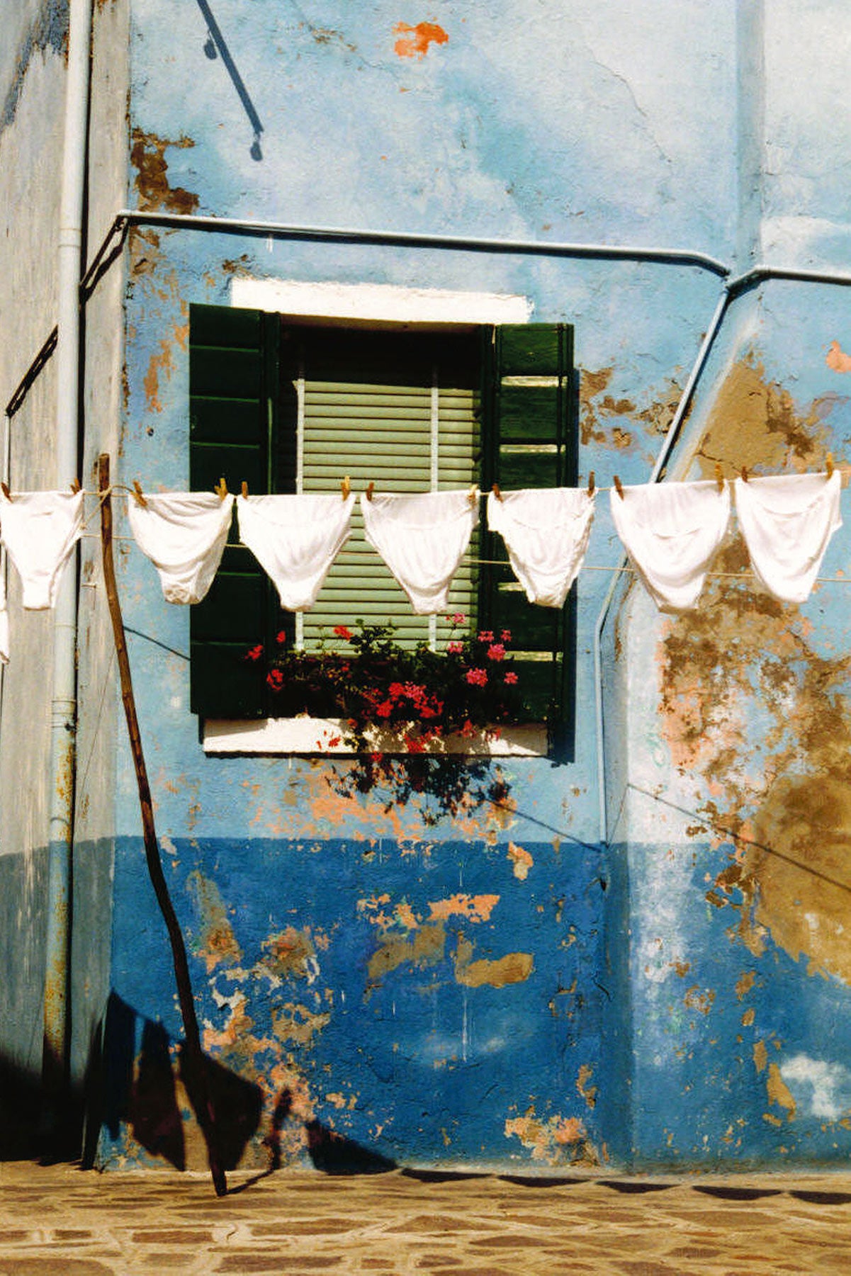 A washing line full of white knickers set against a colourful blue, but crumbling wall, with an inset window and window box of red roses.